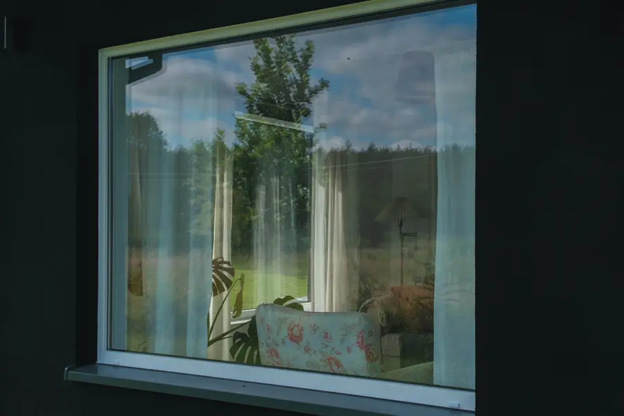 The forest reflected in the common house window at dusk